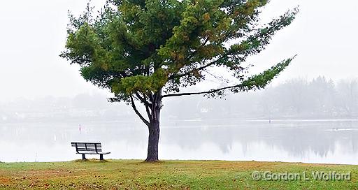 Canalside Bench & Tree_P1210997-9.jpg - Photographed along the Rideau Canal Waterway at Smiths Falls, Ontario, Canada.